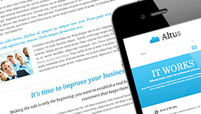 Web Consulting